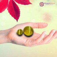 Cat's Eye ( Lehsunia)