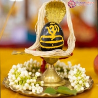 Rudrabhishekam Pooja
